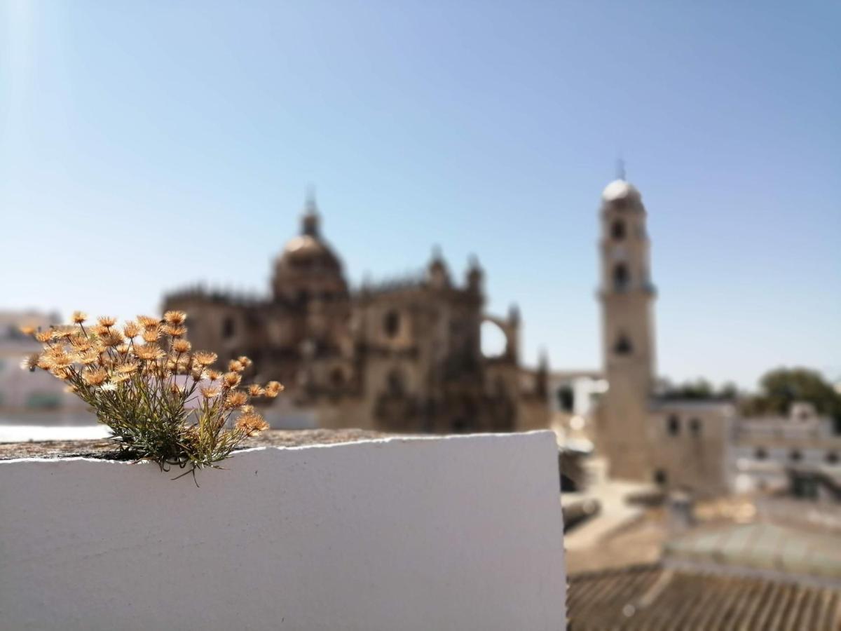 Bellas Artes Catedral Jerez de la Frontera Zewnętrze zdjęcie